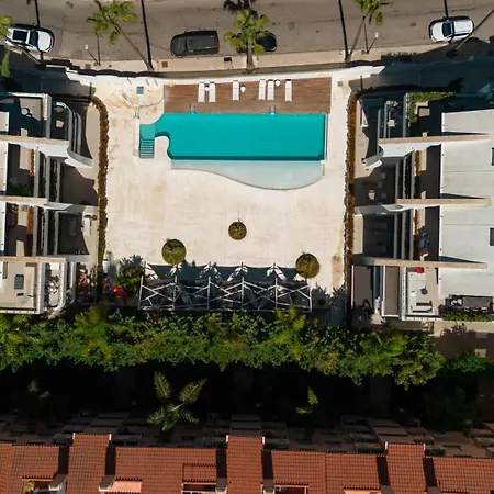 Next To The In Dunes *